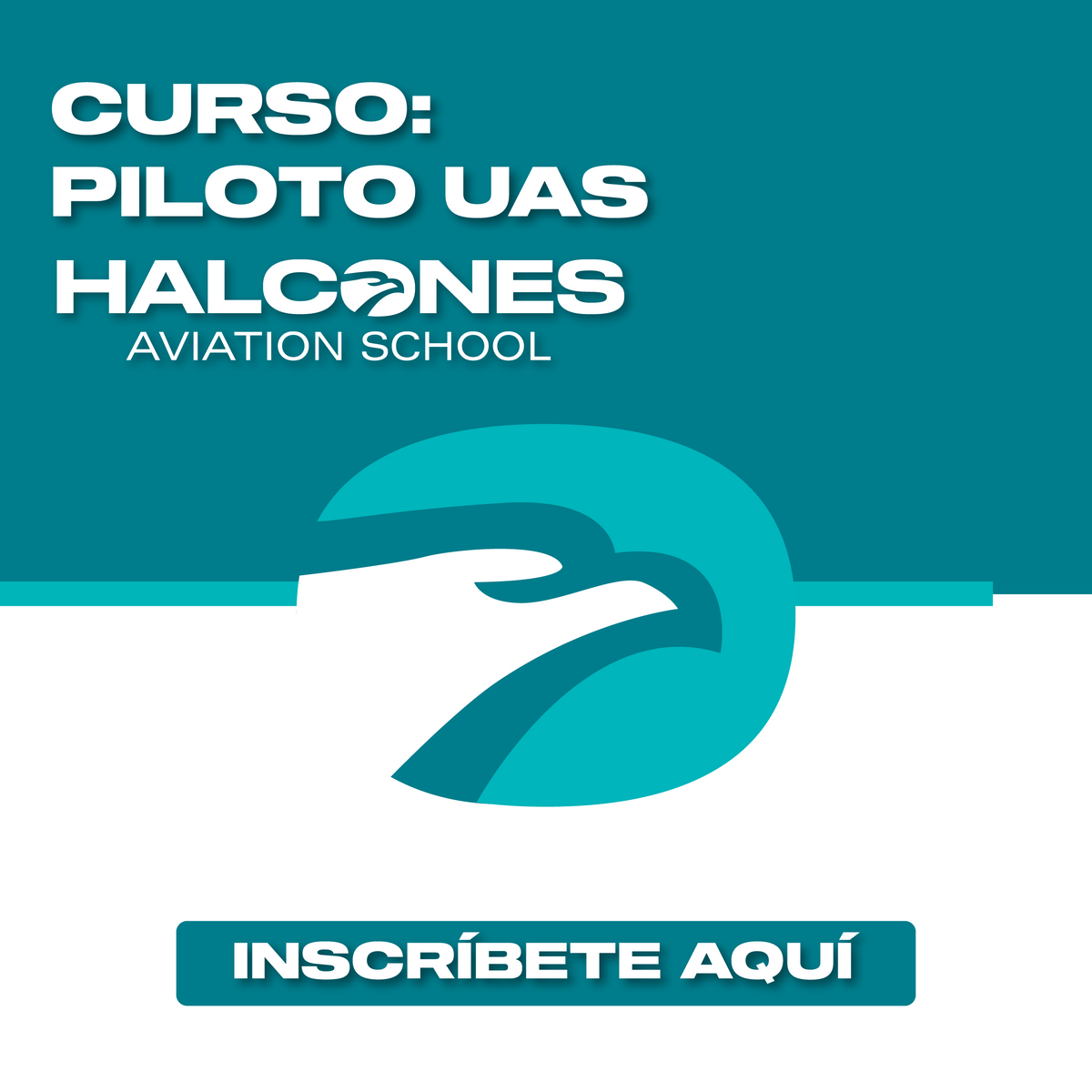 Otros Cursos - Pilotaje y Certificación UAS