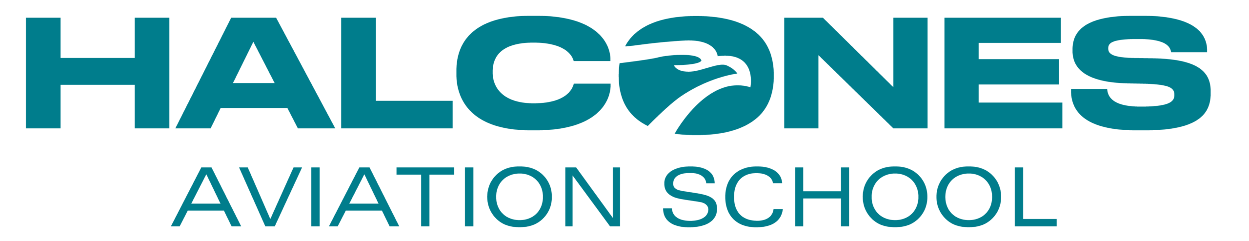 Halcones Aviation School — escuela de aviación en Medellín