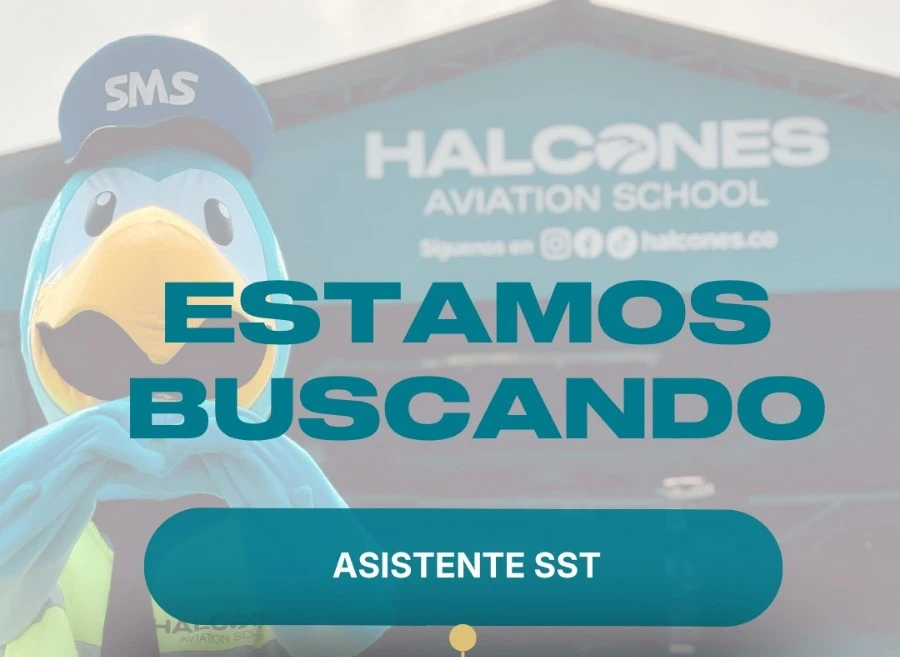 vacante asistente SST Halcones